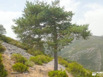 Sierra de Francia: naturaleza que inspira; visitas guiadas madrid mapa senderismo baston senderismo 